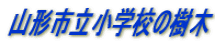 �R�`�s�����w�Z�̎���