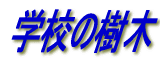 wZ̎ 