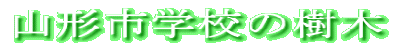 R`swZ̎ 
