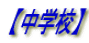 ywZz