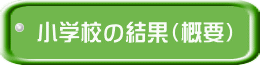 小学校の結果（概要）