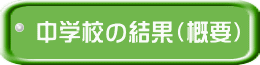 中学校の結果（概要）